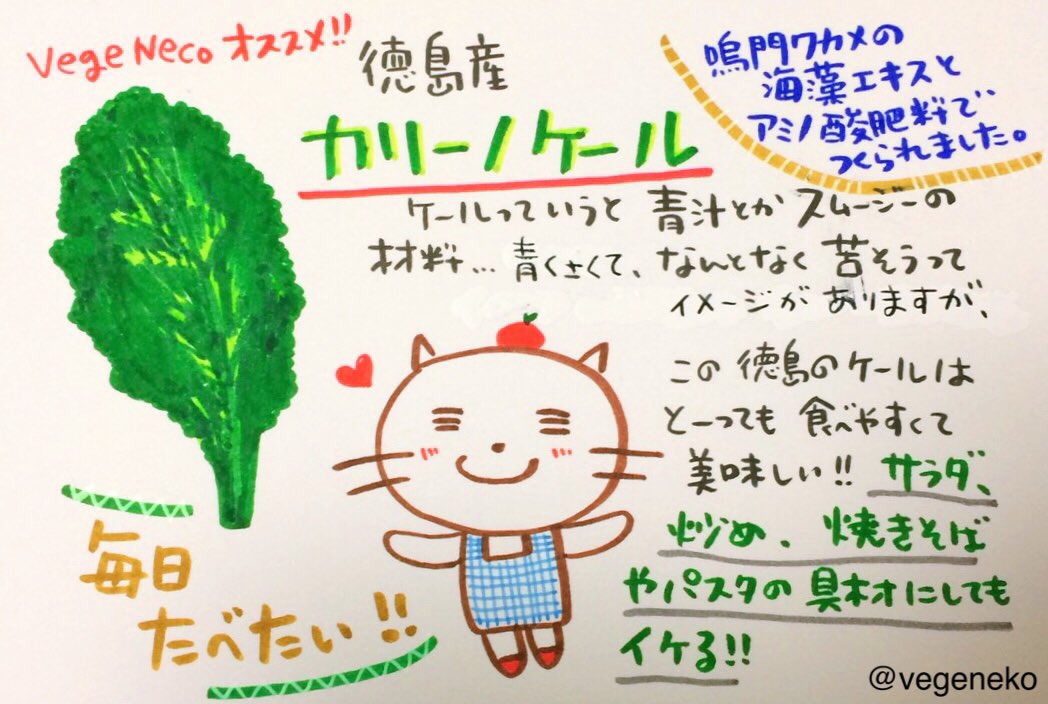 ベジねこ こんにちは 今日はベジねこオススメの野菜を紹介します 徳島産 カリーノケール です ふだんはこんな感じでポップ作成しています ベジねこオススメ野菜 徳島 カリーノケール 猫 野菜 イラスト