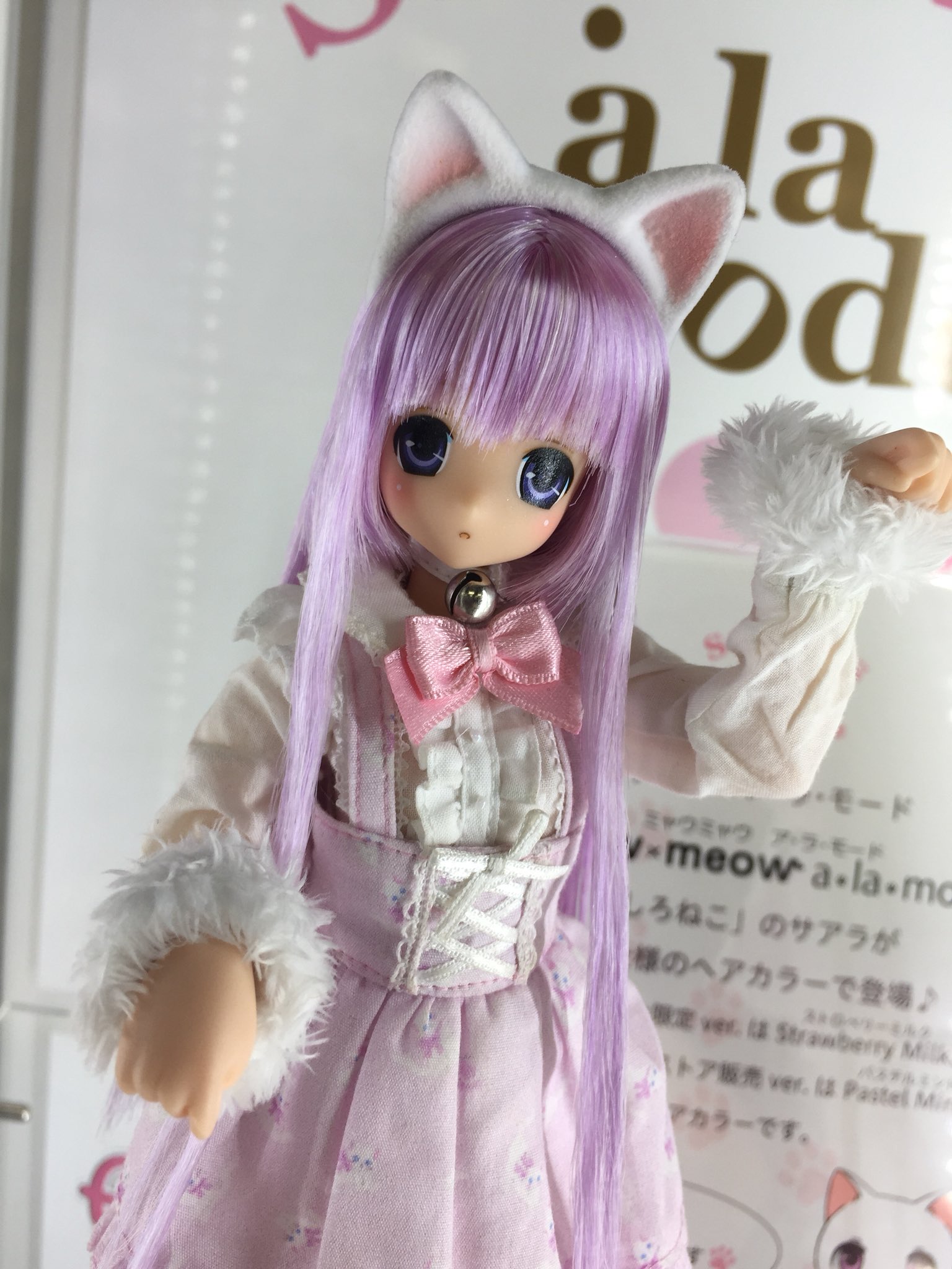 にーも氏 on Twitter: 銀座 *ミャウミャウ ア・ラ・モード しろねこ/サアラver.1.1 アゾンver. キャラクターグッズ