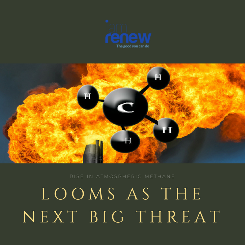 IAm_Renew's tweet photo. Methane levels in the world have risen sharply by about 25 teragrams per year since 2006. Read More:https: https://t.co/aOkJJZNGZa
@NASA @BP_America #carbonlevels #AtmosphericMethane #polllution
#carbondioxide #methane #airpollution #fossilfuels https://t.co/ZYlIrOU6im