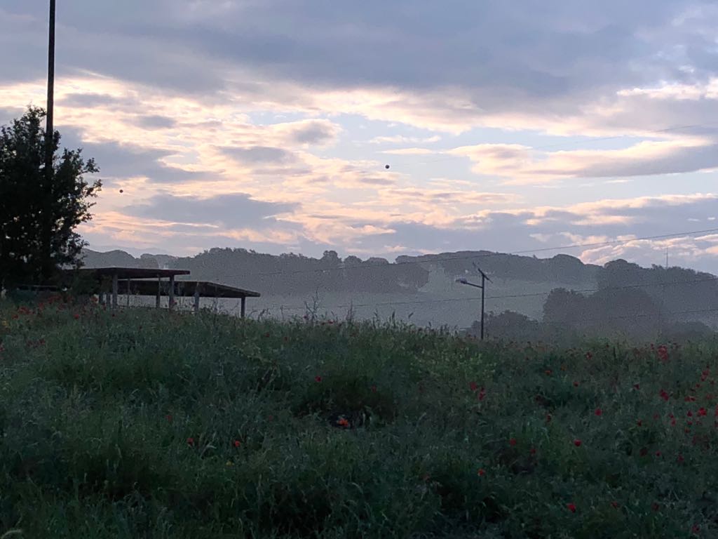 EnteRomaNatura's tweet photo. Tra poco diretta 7:30 @BGRLazio @TgrRaiLazio @MariellaAnziano #Crustumerium #RNMarcigliana @Mau_Gubbiotti @RegioneLazio #parchi #parcoarcheologico Conservazione del paesaggio tutela del patrimonio ambientale storico-archeologico e naturalistico https://t.co/FGvaxagdTe