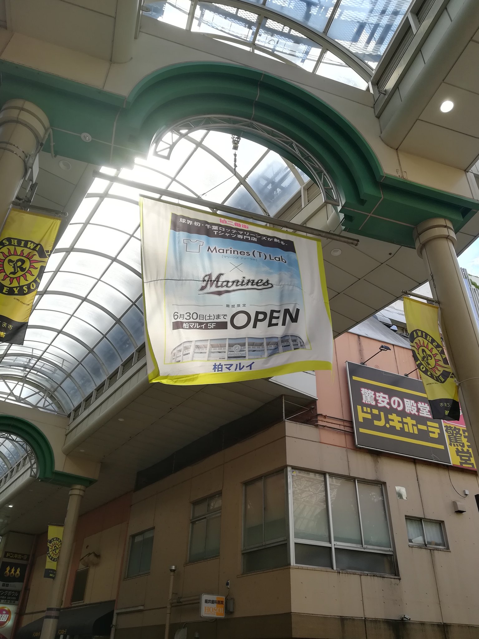 千葉ロッテマリーンズ プロモーション V Twitter Gw後半戦 快晴 昨日から柏マルイに大きなティーラボ懸垂幕登場 商店街にもビッグフラッグ ｱﾘｶﾞﾀｲﾅｰ 野球 サッカー関係なく 柏市 千葉県 日本 世界を盛り上げていきまっしょい B