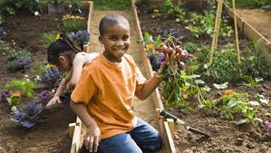 MandalaNGO's tweet photo. Agriculture with 312 kids/students in Masaka, Uganda - the basic gardening tools are needed - https://t.co/j29jRYRaK7 https://t.co/IzwnXr7OLc