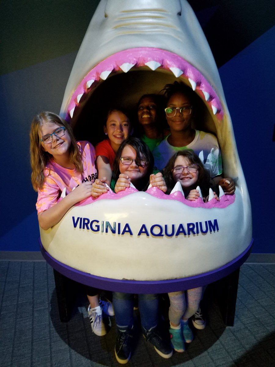 LeahOmweg's tweet photo. Awesome 5th grade field trip today to Virginia Marine Science Aquarium and Ocean Collections Boat trip. #Greatweathergreatkidsgreatexperience!@wallaceteaching @Lruffieux @gr8gbe https://t.co/INoNDZrCTn