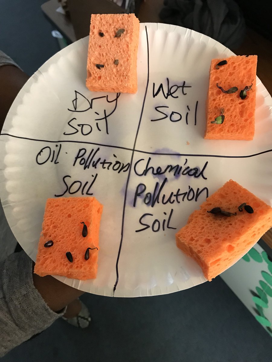 deafedteachEH's tweet photo. @IntervenerJG classes are hypothesizing seed growth! Can’t wait to see the results! https://t.co/40Jne0X09e