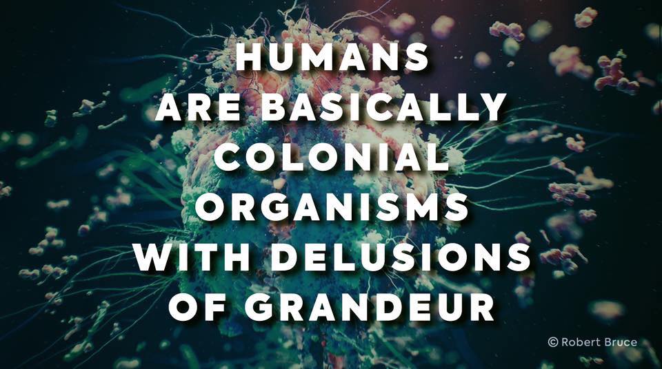 markowenmartin's tweet photo. Some #MicrobialTruth @univpugetsound @ASMicrobiology https://t.co/xIxEm8Rf7O