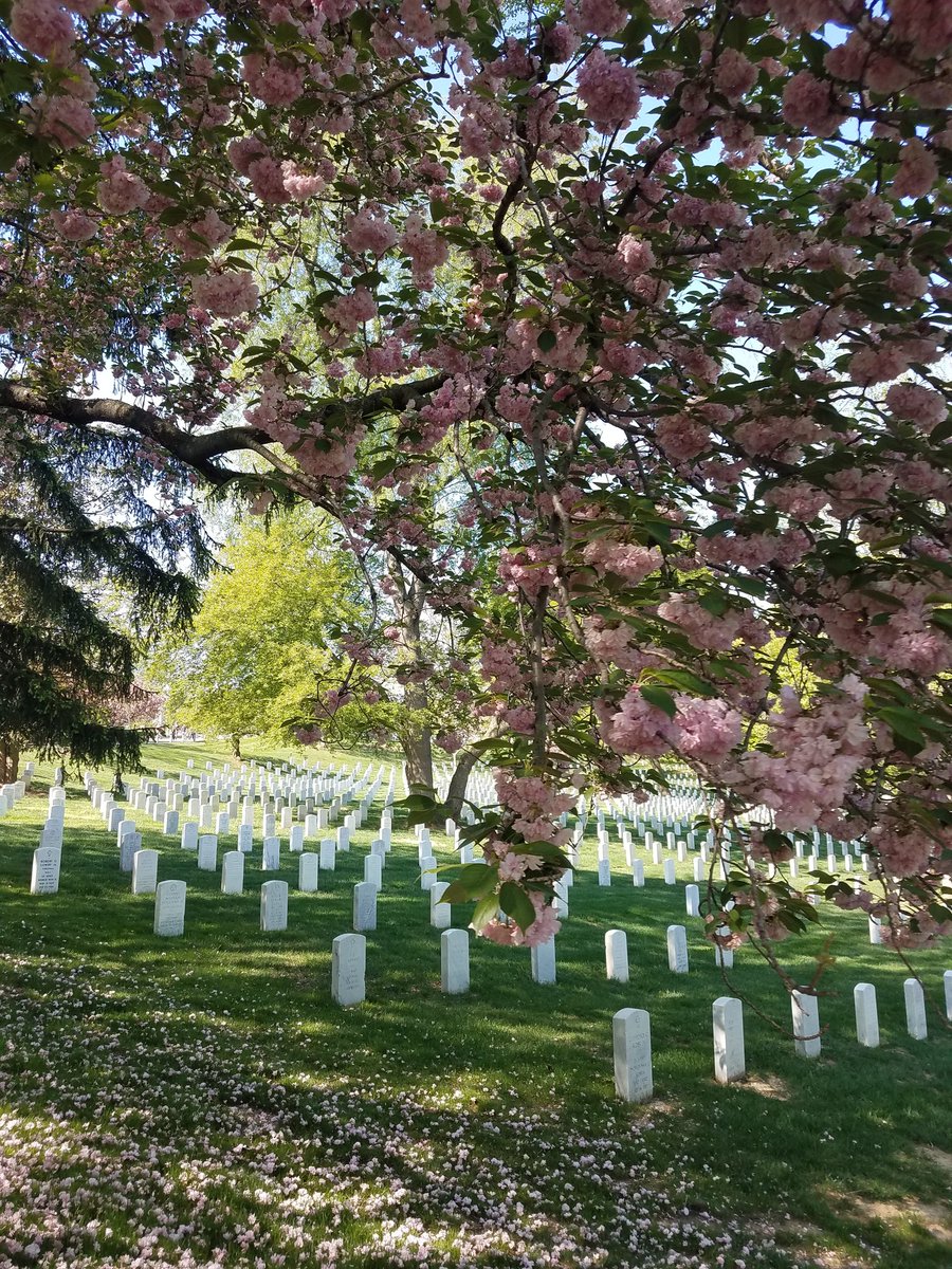 MrsDSciExplrr's tweet photo. Beautiful day for Bus 2 at the Arlington National Cemetery.  #PMSDC2018 https://t.co/5eBkLnjugF