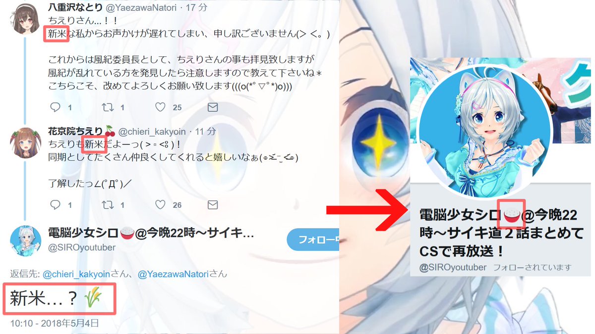 シロちゃん置き場