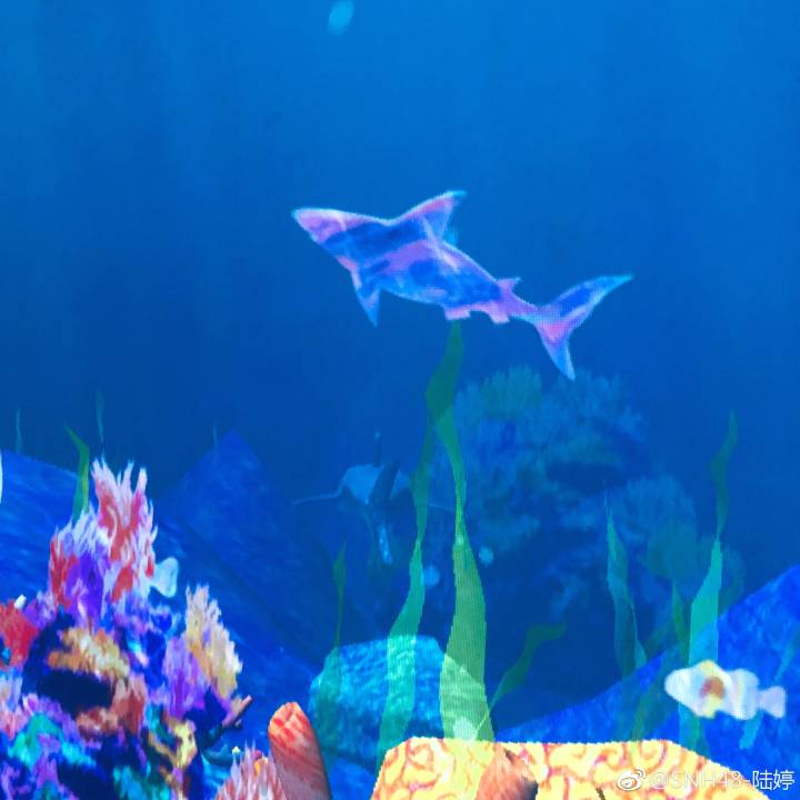 SNH48LuTing's tweet photo. 想要变成一条自由自在的小🐟 https://t.co/AcAE2WpnTI
