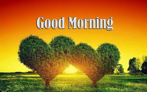 nabifahmida1's tweet photo. Good Morning Kashmir #peaceinmind, #peaceinheart #peaceinkashmir https://t.co/uDAhMnHL1G
