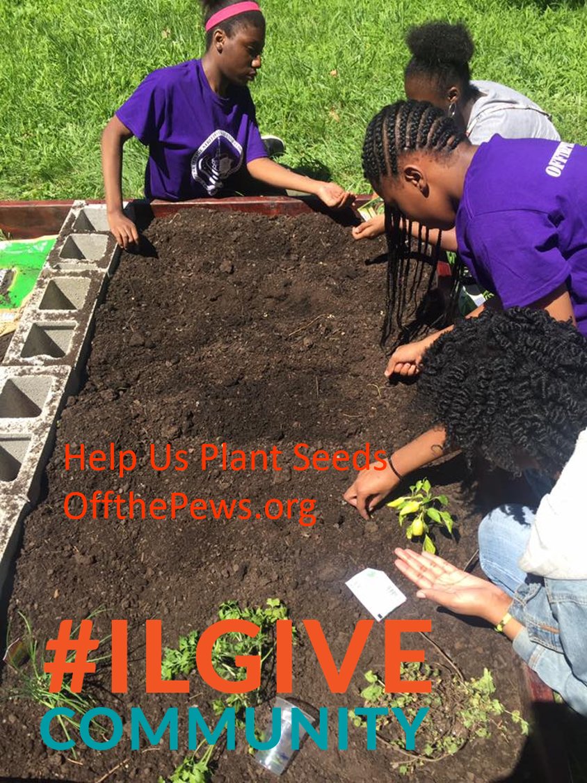 OffThePews's tweet photo. HELP US PLANT SEEDS! Each $27 Gift will help purchase seeds and purchase supplies to build raised garden beds. Click here to give: https://t.co/mjNJRt2TSV
#ILGiveCommunity https://t.co/JTw2QY9tt3