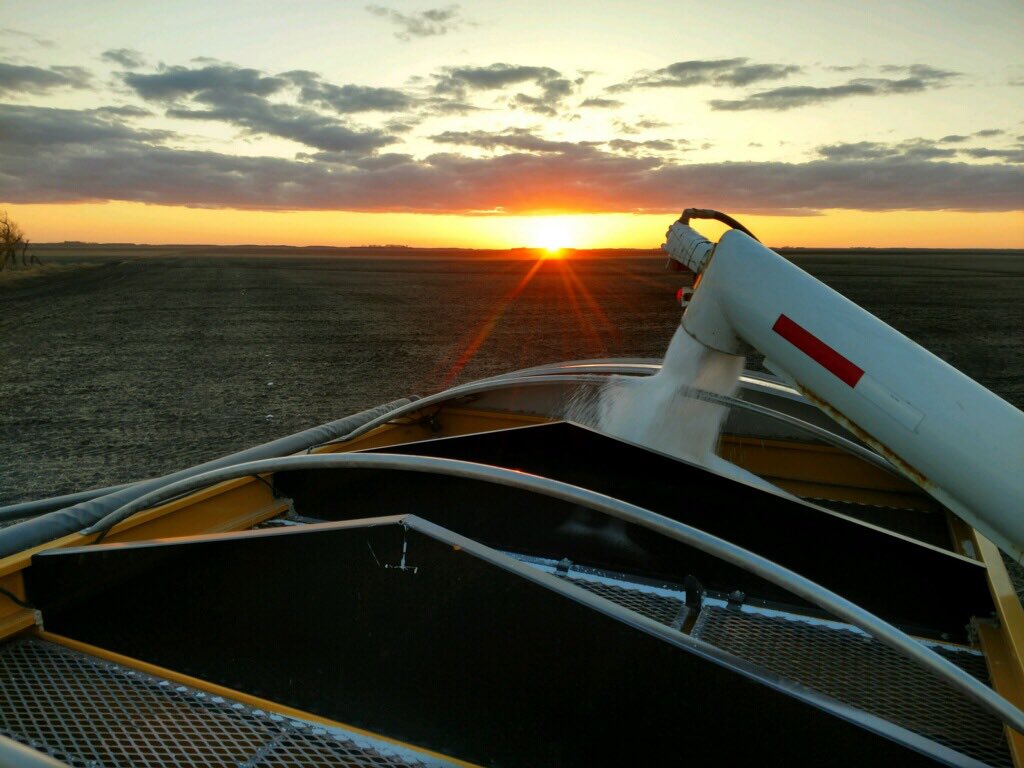 Chip Olson tweet media