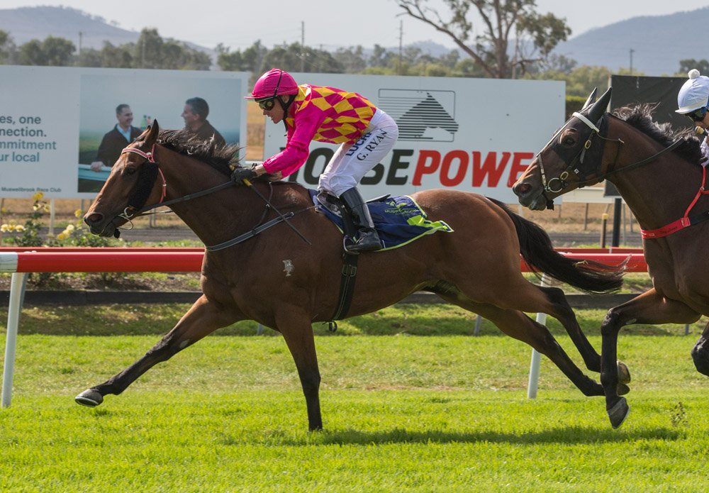 thebrookracing's tweet photo. DOOSEY won R1 Bengalla Mining Company CG&E Cl 2 Hcp (Scaled -0.5kg) 1450m RT 1:29.34 ST 35.49 Margins 1/2L x 1.25L @RTW888 #GregRyan Track Gd 3 https://t.co/EKssgbqA5d