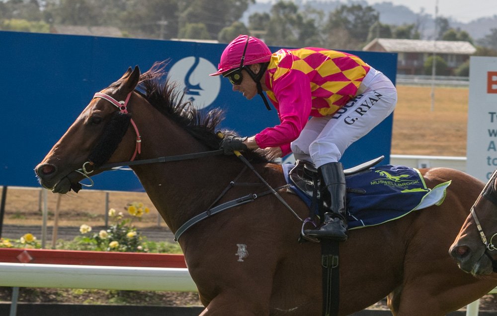 thebrookracing's tweet photo. DOOSEY won R1 Bengalla Mining Company CG&E Cl 2 Hcp (Scaled -0.5kg) 1450m RT 1:29.34 ST 35.49 Margins 1/2L x 1.25L @RTW888 #GregRyan Track Gd 3 https://t.co/EKssgbqA5d