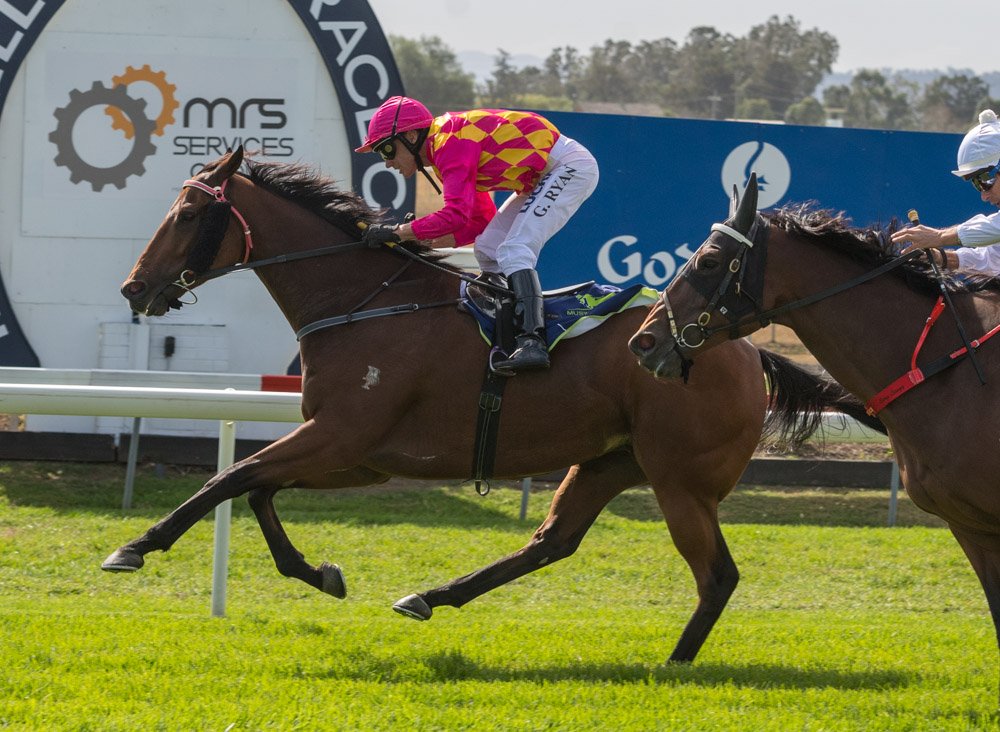 thebrookracing's tweet photo. DOOSEY won R1 Bengalla Mining Company CG&E Cl 2 Hcp (Scaled -0.5kg) 1450m RT 1:29.34 ST 35.49 Margins 1/2L x 1.25L @RTW888 #GregRyan Track Gd 3 https://t.co/EKssgbqA5d