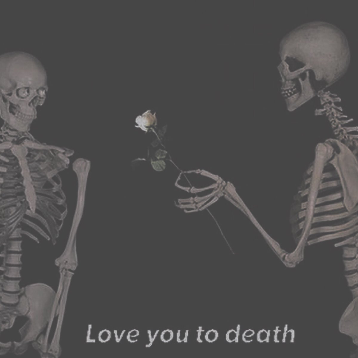 ⠀

      𝐷𝑜𝑛'𝑡 𝑦𝑜𝑢 𝑤𝑎𝑛𝑛𝑎 𝑙𝑜𝑣𝑒 𝑚𝑒 𝑎𝑡 𝑎𝑙𝑙?

⠀⠀⠀