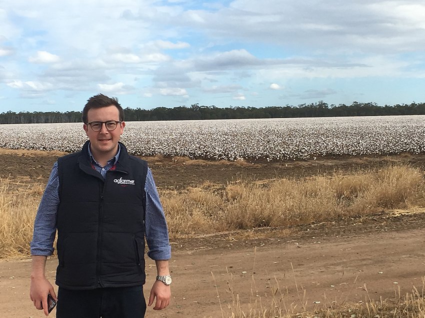 AdvantageGrain's tweet photo. @ChrisCoore1 and Rowan hit the road this week to see the last of #sorghum harvest and #cotton picking, as well as gauge winter planting intentions. They left Monday and travelled through Tamworth, Narrabri, Moree, Dalby, Goondiwindi, Toowoomba and Brisbane. #harvest18 #plant18 https://t.co/bME0tHANXq