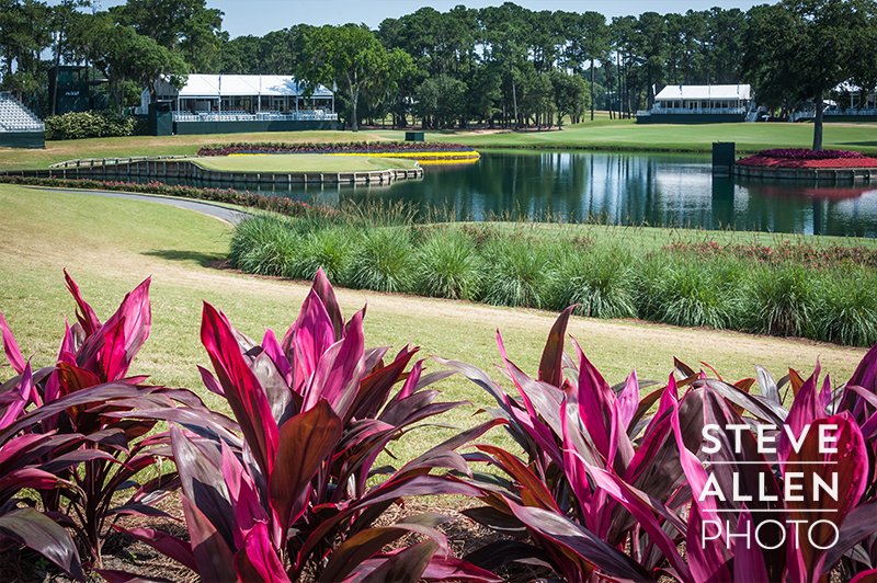 SteveAPhoto's tweet photo. Was this the print you wanted for your home @TheSergioGarcia and @TheAngelaAkins? 30% off through Mother's Day with discount code mothersday30 at https://t.co/I3pqciIYol.
#TPCSawgrass #THEPLAYERS https://t.co/Mp6WESdxuJ