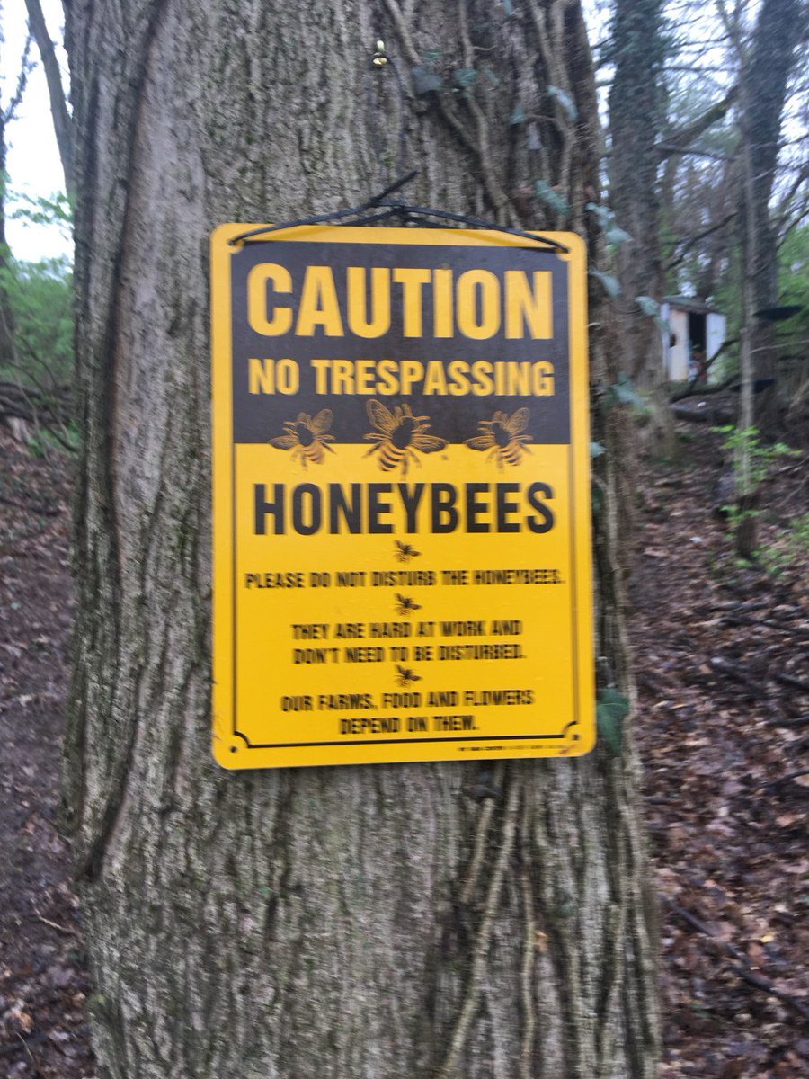 A lot going on! Check out our updates. Weekly Fun Facts will start again next week. honeybees.earth/buzz/a-lot-goi…