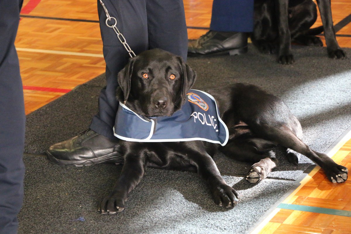 Australian High Commission, New Zealand tweet media