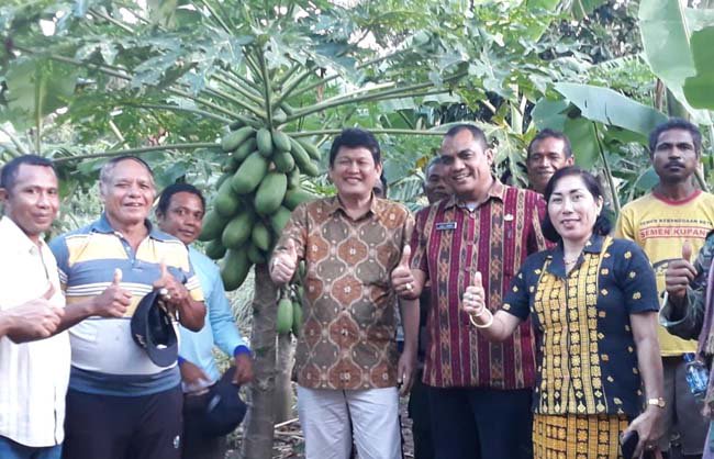 bbpkh_official's tweet photo. Lahan Percontohan, Kiat THL-TBPP Kupang Gugah Etos Kerja Petani https://t.co/hsqo1Ewhdq #Bekerja #KawalPetani #PetaniKita @badansdm @kementan https://t.co/yWSUEowxua