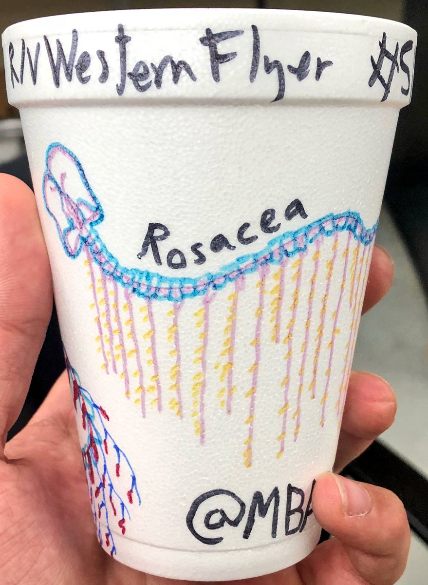 planktomancer's tweet image. My cup is ready to get SHRUNK by the deep sea pressure! #DEEPC++ #siphonophore #fieldwork #WesternFlyer18 @MBARI_News