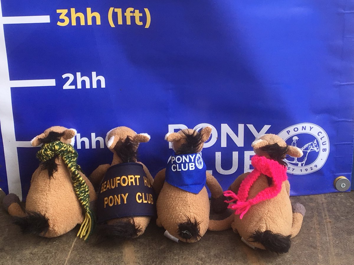 ThePonyClub's tweet photo. #PonyClubberry #Magicberry #Beaufortberry& #Gabrielberry are getting ready for their cousins to arrive at 3.45 today. #Area14berry and #gooseberry are due any minute to help. #somanyadventures @chiefchemopony @JonStroud @ThePonyClub @Harry_Meade @bhorsetrials #kickingcancersbutt https://t.co/sorIQX2G1q