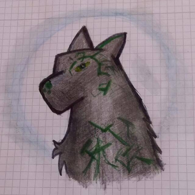 Fiona_puma's tweet photo. #yofalco @falcofalcrow diese Bilder habe ich letzten erst gezeichnet vieleicht kannst mit den Zeichnungen was anfangen https://t.co/A3HpzEgRke