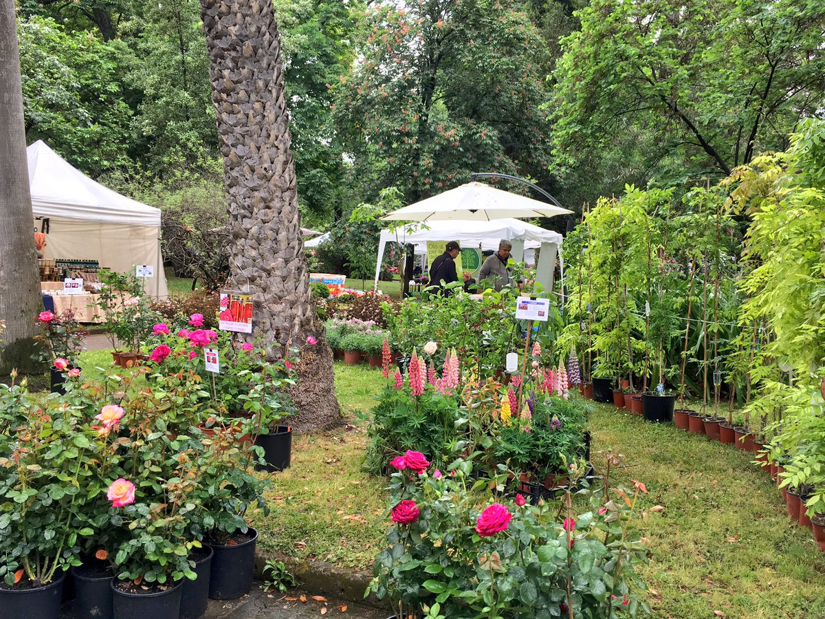 Al via la sesta edizione di  "#Planta, il #giardino e non solo", mostra mercato in programma dal 4 al 6 maggio all'Orto Botanico #Napoli