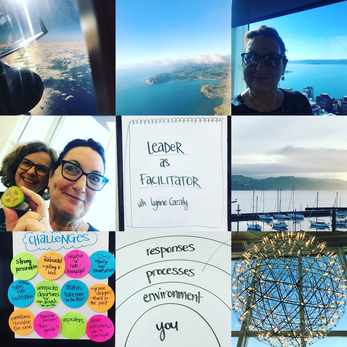 lynnecazaly's tweet photo. A great couple of days running Leader as Facilitator programs in Wellington, New Zealand. 1 public workshop &amp; 1 in-house for an agile team. Also I kissed a feijoa and I liked it!  #wellington #agile #facilitation #feijoa #team #collaboration #leadership #leaderasfacilitator https://t.co/GjsoKqtceN