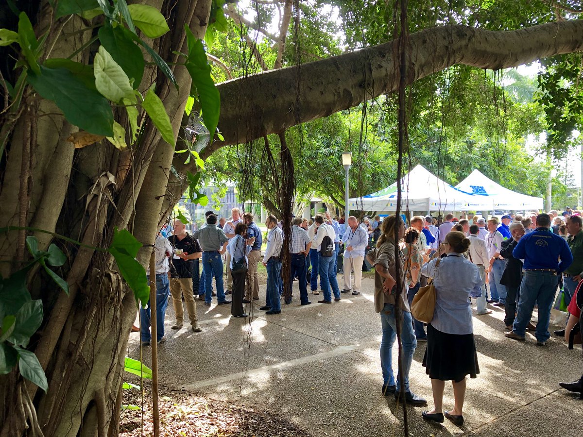 endofthebitumen's tweet photo. There are #BBQs &amp; there are #wagyuBBQs #mouthwatering #tender #juicy #flavoursome.I was reunited with the entries I helped judge in @AustWagyuAssoc #2018BrandedBeefAwards  #tasteseverybitasgoodasitlooks #WagyuEdge #TheMarbledMeat @CupSailor #Mort&amp;Co #StockyardBeef @meatlivestock https://t.co/AWjDRvTek2