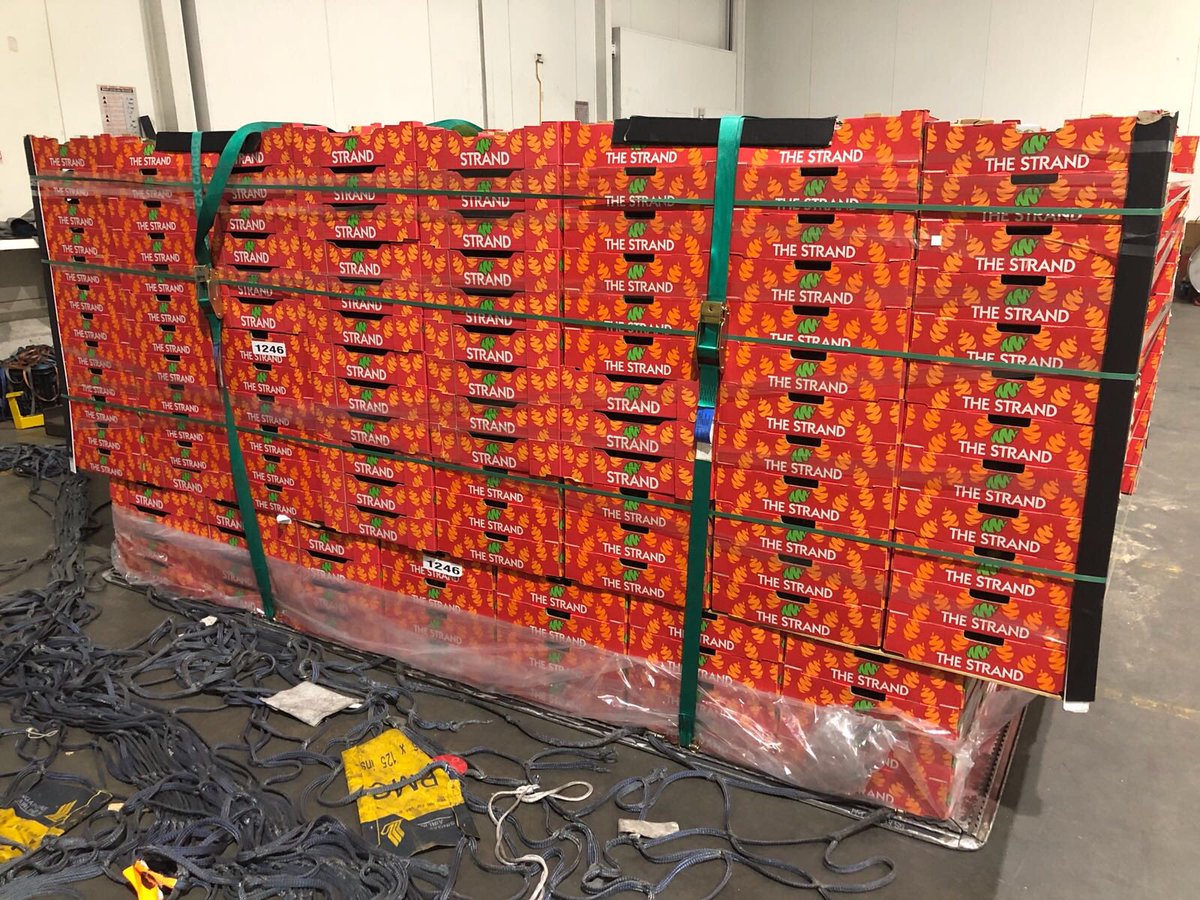 Avocados 🥑 from The Avolution growers all set and ready to fly, a full air pallet with its boarding pass will be in the Asian markets first thing tomorrow morning. Bon Voyage Great work everyone. <a href="/ABCRural/">ABC Rural</a> <a href="/GoodFruitandVeg/">Good Fruit and Veg</a> <a href="/FruitPortal/">FreshFruitPortal.com</a> @