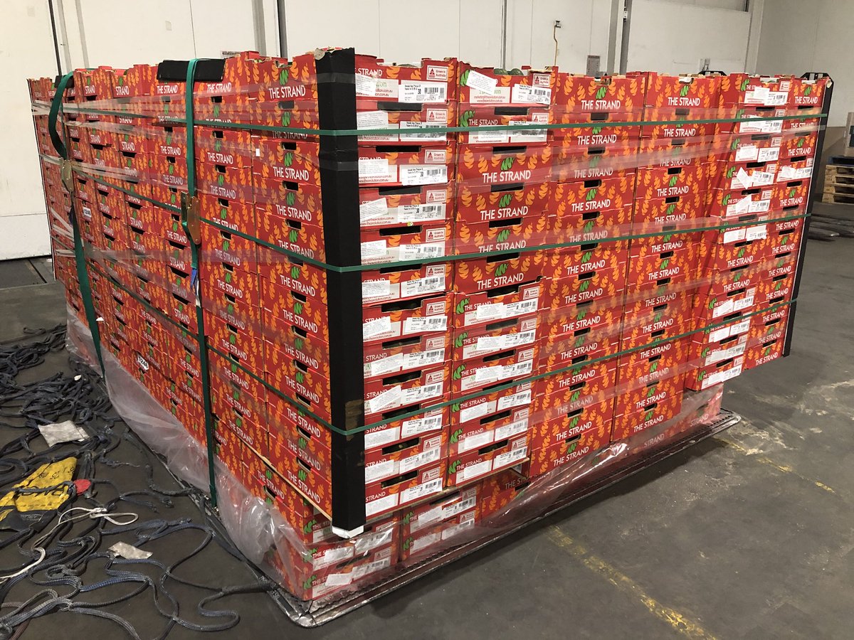 AvolutionFresh's tweet photo. Avocados 🥑 from The Avolution growers all set and ready to fly, a full air pallet with its boarding pass will be in the Asian markets first thing tomorrow morning. Bon Voyage Great work everyone. @ABCRural @GoodFruitandVeg @FruitPortal @ https://t.co/e3xZSJEHcD