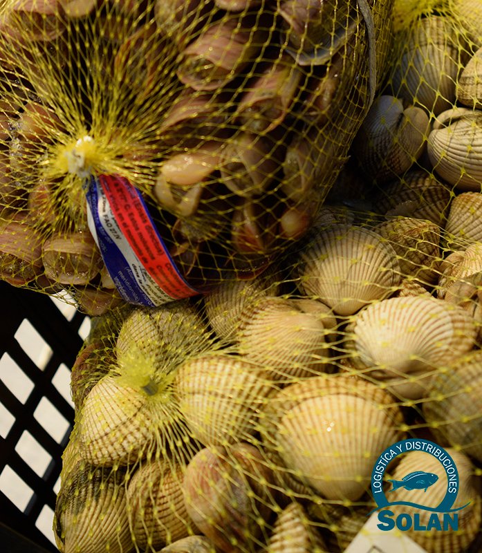 SolanLyD's tweet photo. ¡Por fin viernes! ¿Sabías que la almeja y la navaja tienen importantes valores nutricionales? Y por si fuera poco, están deliciosas. Este fin de semana no deberían faltar en tu menú ;) #solan #viernes #weekend #seafood #logisticaydistribuciones https://t.co/MImnoiC2jc