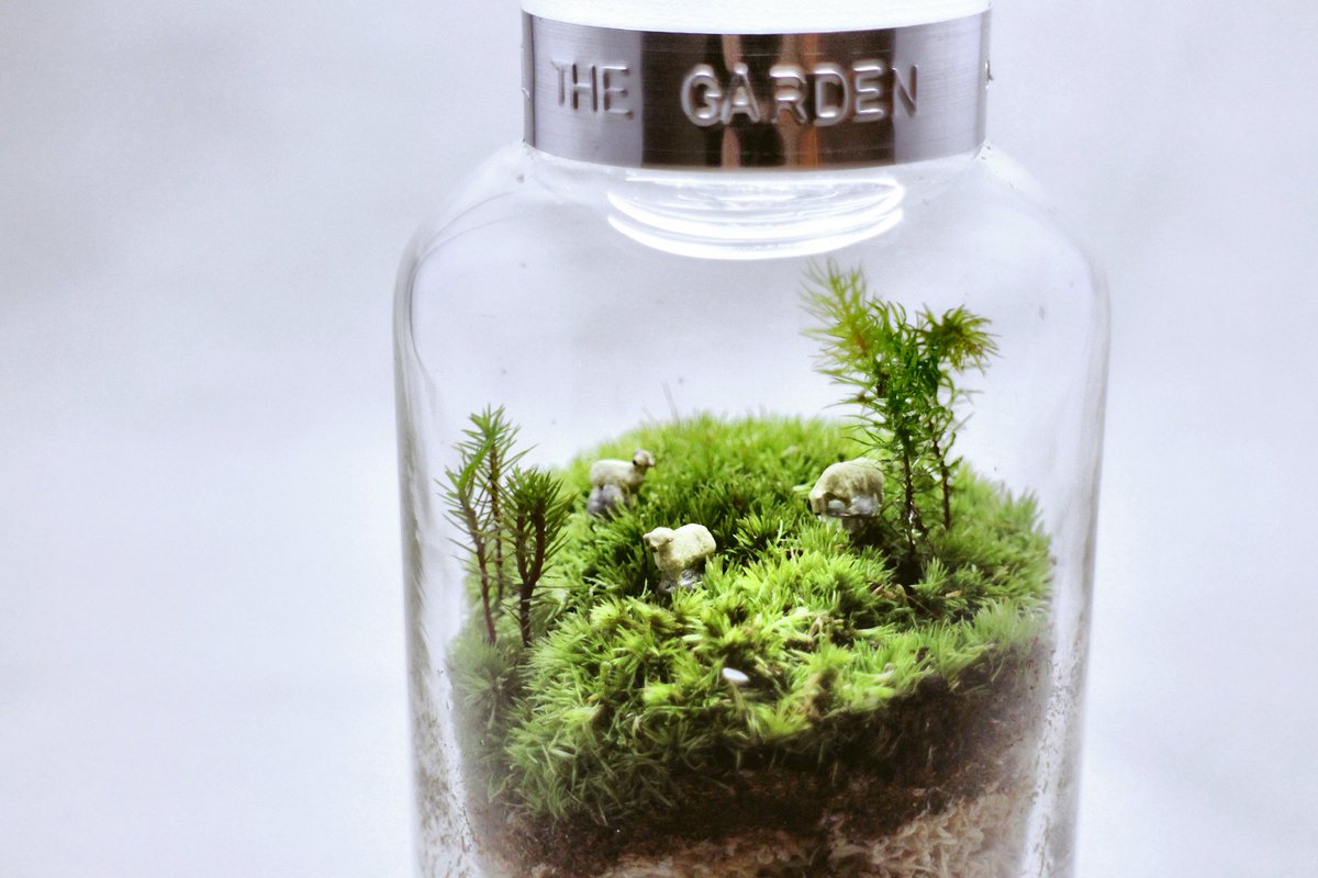 フィール ザ ガーデン