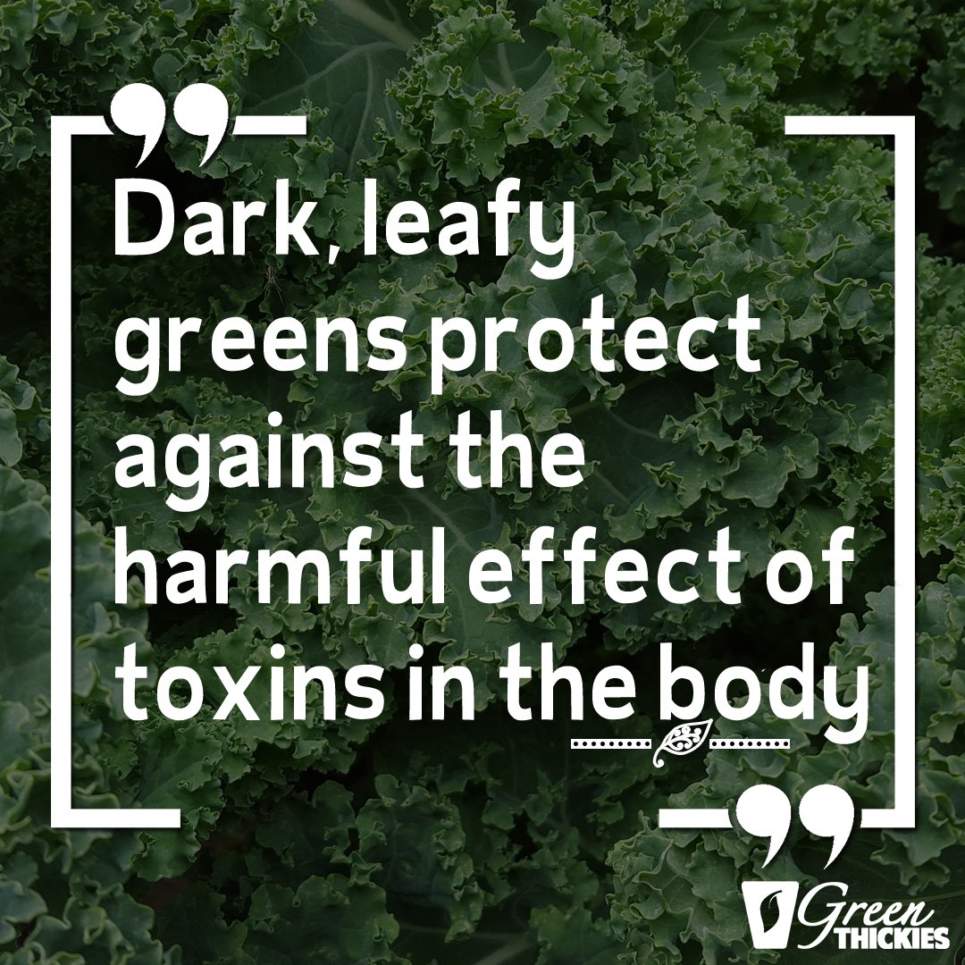 greenthickies's tweet photo. Love yourself. Love Leafy Greens! https://t.co/v2U2Lv4EiH