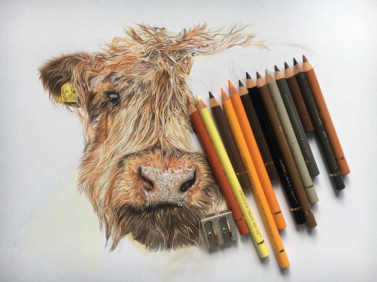 KatrinSnellart's tweet photo. Hmmm what to do today, work on my cow or start another commission (I have a stack of commissions) the cow prints will be available in @exmoor_store and @CottageClematis when I finally finish,oh that fur!🤦🏼‍♀️#Art #artistsontwitter #SupportLocal #Somerset #Exmoor #exmoorstore https://t.co/bl7GWcgQ0e