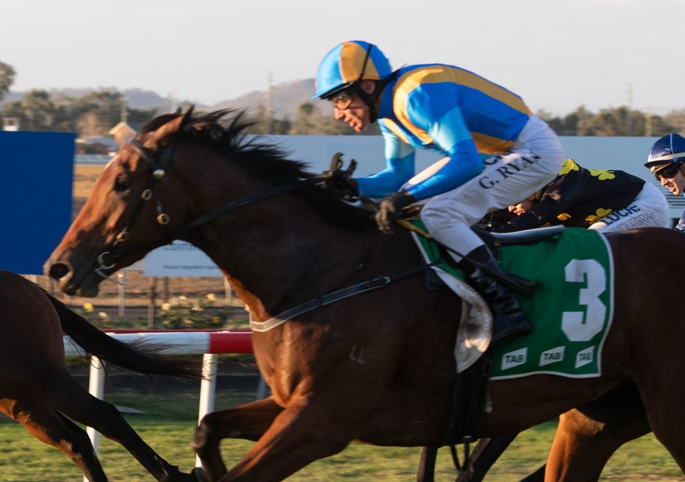 thebrookracing's tweet photo. From the angle of the photo you'd swear the inside horse was the winner but it's actual JUDGE JUDI who won RT 1:16.29 ST 36.15 Margin Hd x 1.25L @BBakerRacing #GregRyan https://t.co/fVrGbVmxEn