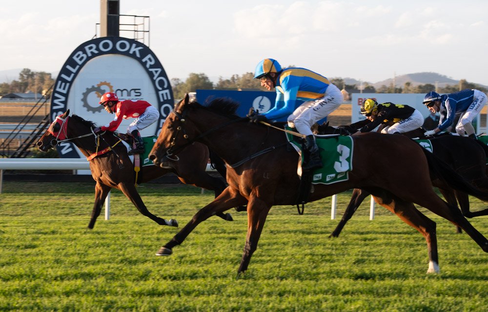 thebrookracing's tweet photo. From the angle of the photo you'd swear the inside horse was the winner but it's actual JUDGE JUDI who won RT 1:16.29 ST 36.15 Margin Hd x 1.25L @BBakerRacing #GregRyan https://t.co/fVrGbVmxEn