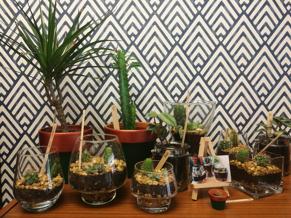 You can buy my open terrariums, plants and hand painted plant pots from Made in Nottingham 🌱 Open today &amp; Saturday, treat yourself to a new prickly pal this bank holiday weekend 🌵 <a href="/Madein_Nottm/">Made in Nottingham</a> 
#cactus #houseplants #succulents #terrarium #handmade #notts