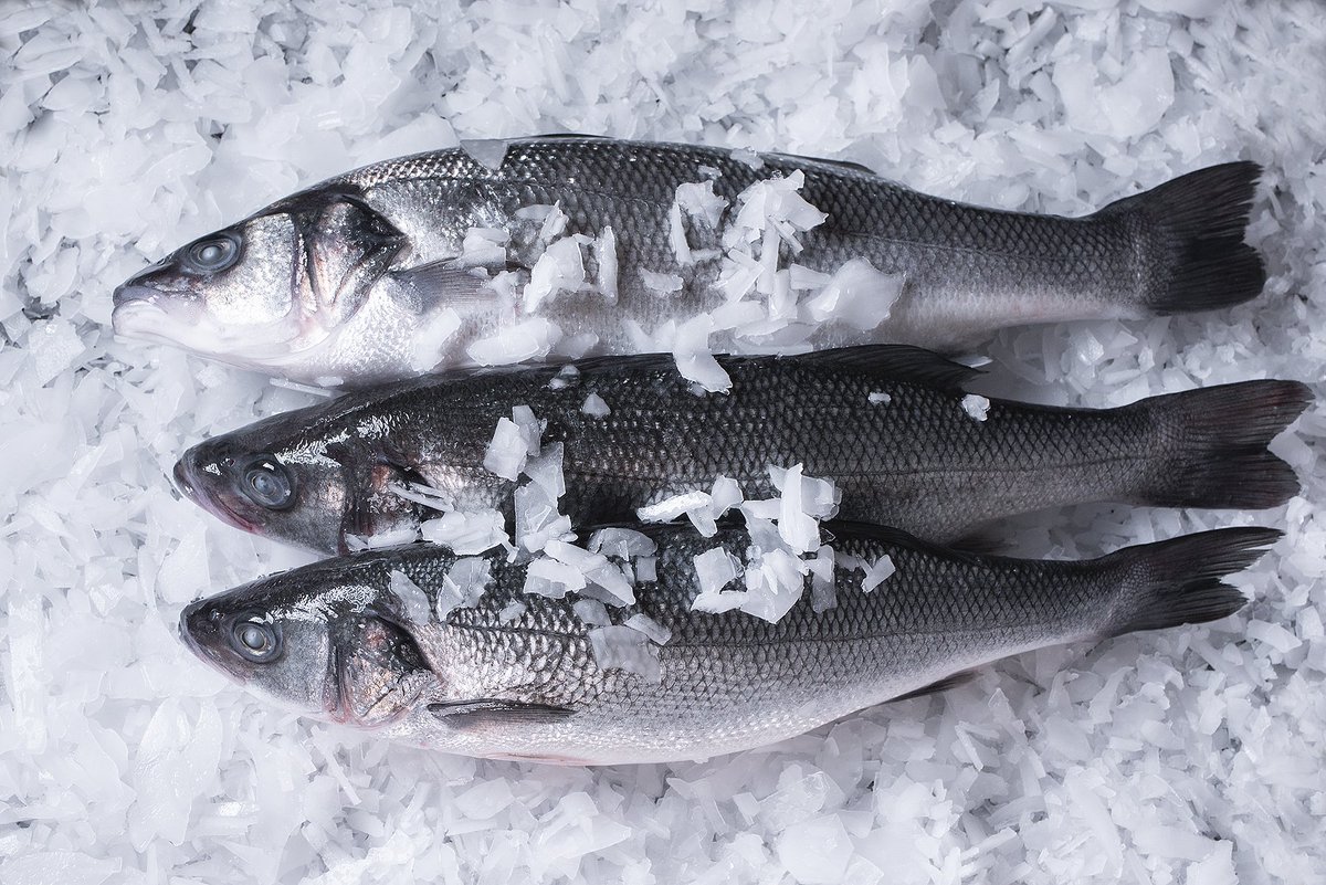 Freshness overload!! 😍
Our Superb #Seabass which is extremely high in omega 3 &amp; 6 fats giving optimal #freshness, #taste and shelf life.