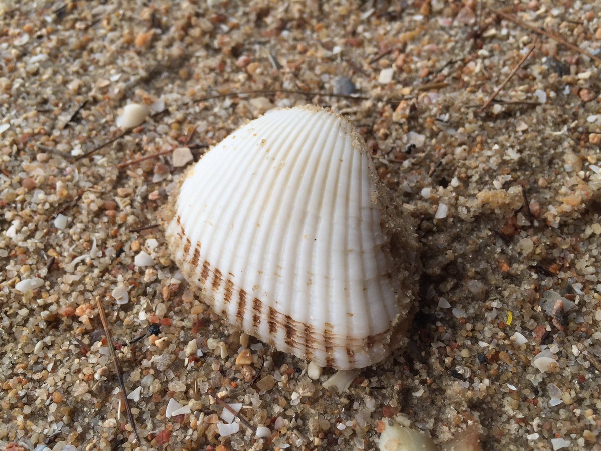 We are still giving out that $2.99 web hosting. No limits to space, bandwidth, emails, FTP. Free domain. 99.9% uptime.

#webhost #webhosting #hosting #webspace #domain #webpage