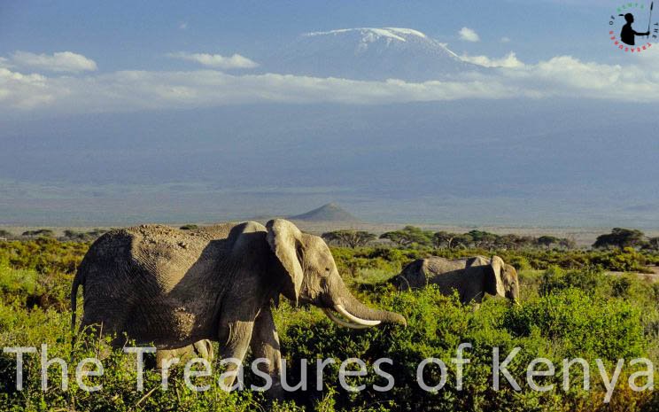 Treasures of Kenya tweet media