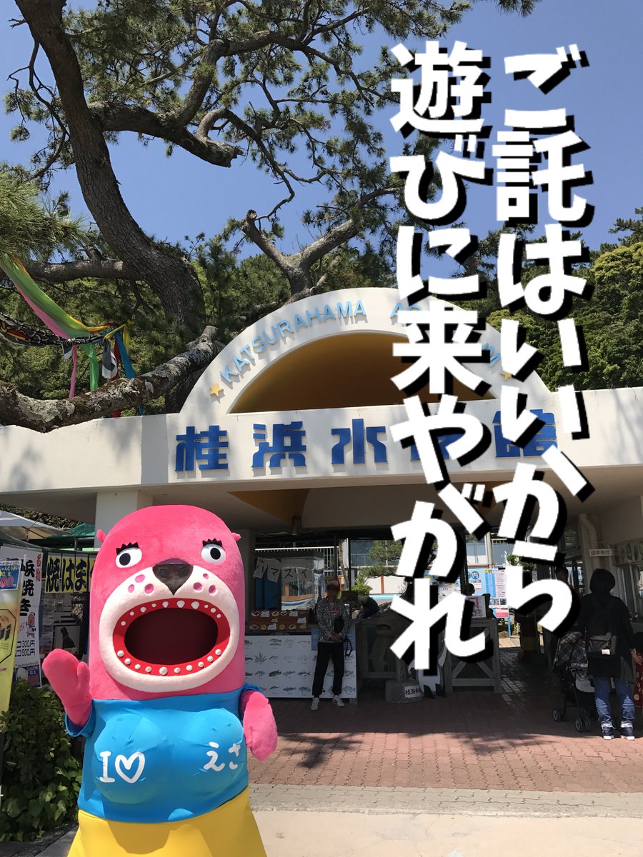 水族館 桂浜