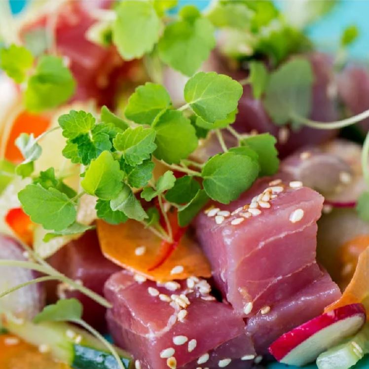 RadissonPark's tweet photo. Now that the weather in Athens is getting warmer, our Cooked Freshness menu is ideal. Savor our deliciously colorful dishes while enjoying expansive views of the Acropolis! #radissonblupark #stastra #rooftoprestaurant #radissonathens #radissonblu #natureinspired #urbannature https://t.co/jOd9yzwxvO