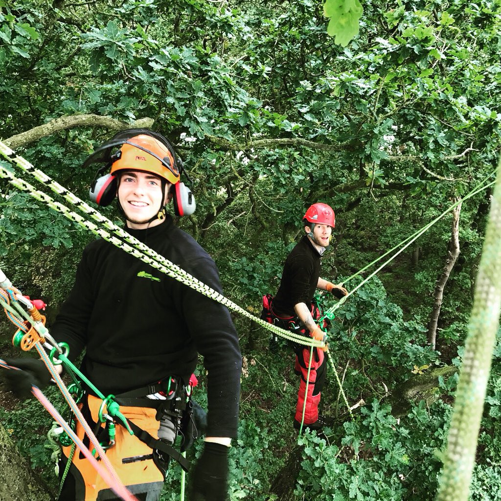 treelogicuk's tweet photo. Arborist Kinematics Research Funding in place, dates our set for our first stage of investigations in the Arborist body accessing and working in trees. #fund4trees #F4T #arboricultrualassoisiation #teufelberger #trees.org #afag #treelogic #coventryuniversity https://t.co/AiBEe8ccKp