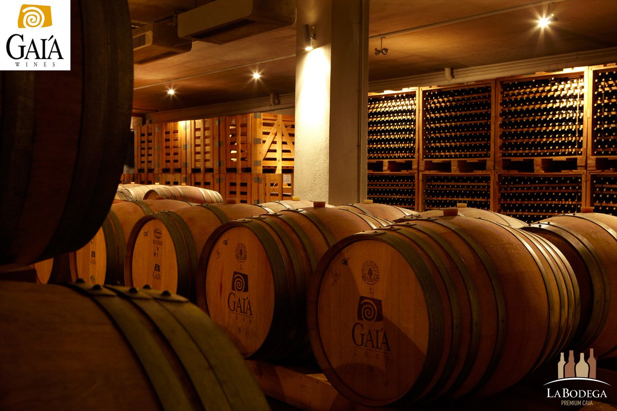 Labodegapaphos's tweet image. Join us for an amazing wine tasting event and experiences the beautiful flavours from some of the Gaia winery’s very unique and renowned wine labels.

Time: 18:30 - 21:00
Entrance Free 
 
For info: 26 955515 or 99 537080.

#Greek #GaiaWineryTastingExperience #WineTasting