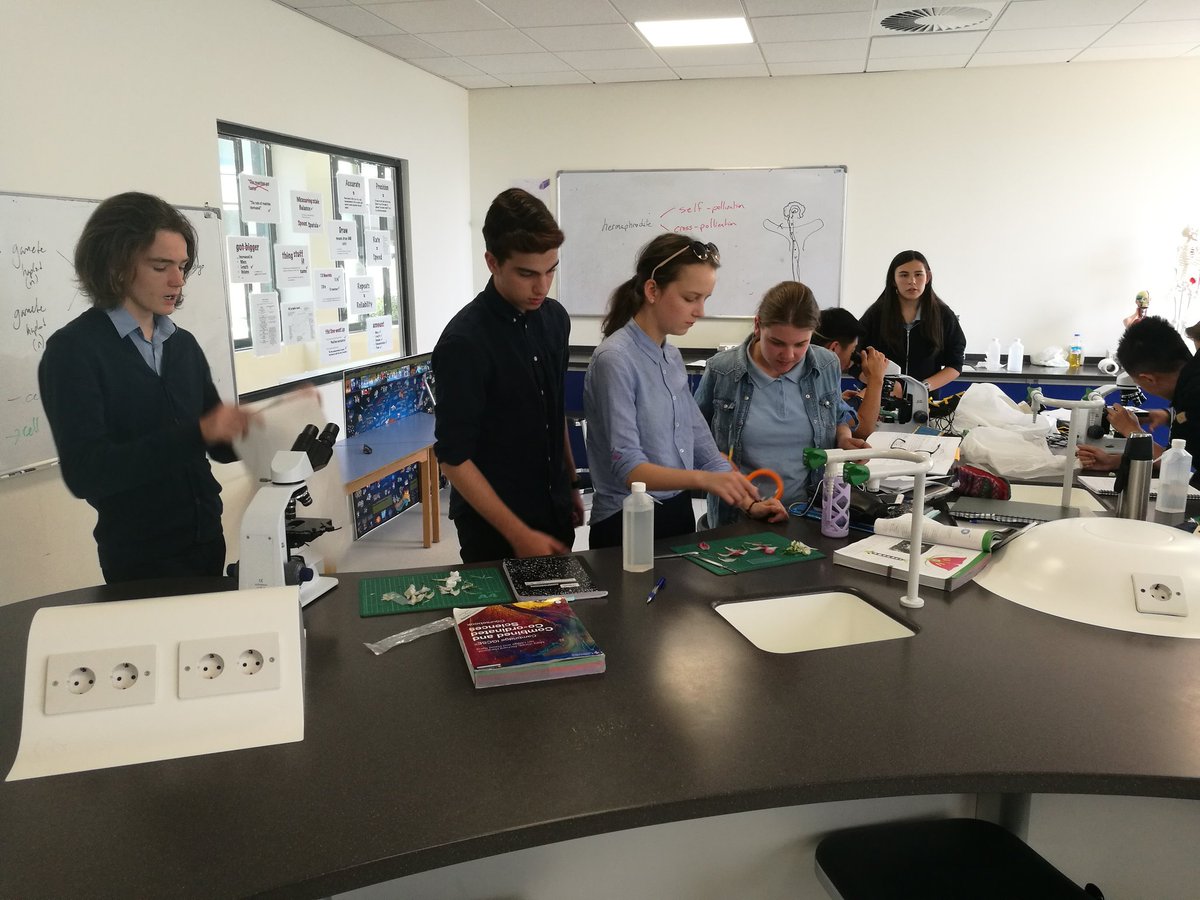 #BISTYEAR10 dissect their flowers to investigate their structures and functions #BISTSCIENCE #happyspring