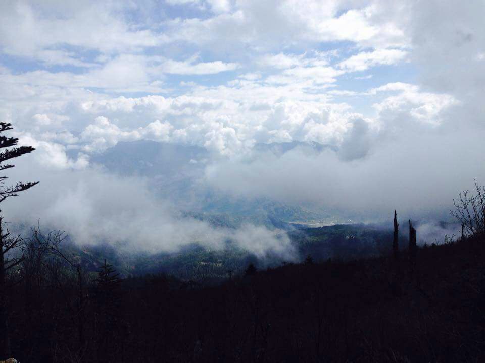 dustyterrain's tweet image. There is a line between breathing&amp;amp;living One day u will find yourself in a spacious office with all comfort ,u are breathing your ego in another day your are standing at the tip of mountain with non-life beyond it ,u can hardly breathe but you know that u are living #dustyterrain