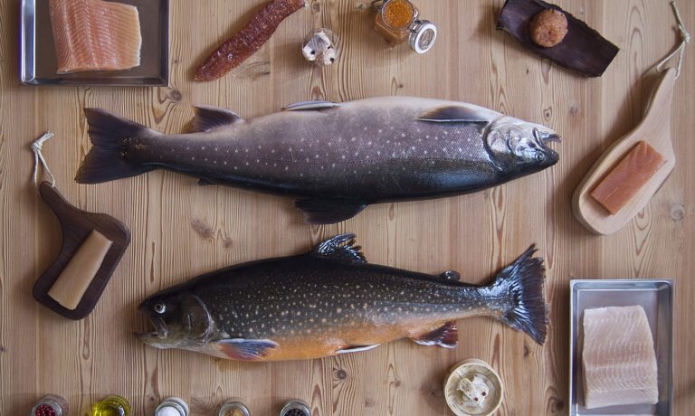 identitagolose's tweet image. Gli amici di Identità Milano - terza parte.
Eccellenza, ricerca, qualità: l'area espositiva di Identità Milano #IGmi18 è stata una fucina di idee per la ristorazione identitagolose.it/sito/it/237/19…