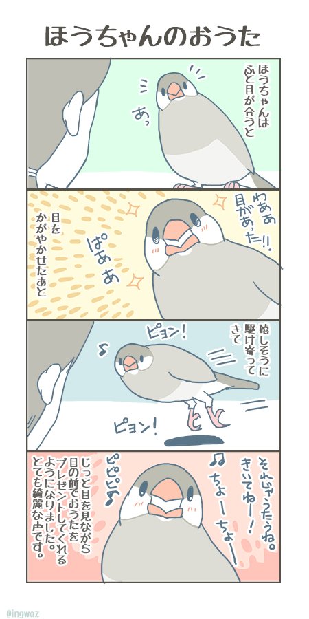 換羽以来、ごきげんなほうちゃんです。

#buncho #javasparrow #文鳥 